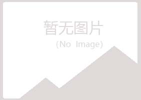 大新县青槐美容有限公司